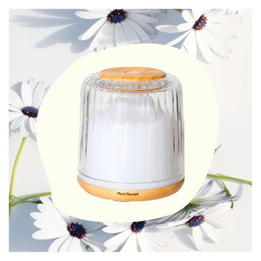SERENITY GLASS DIFFUSER